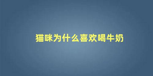 猫咪只喝牛奶不喝水行吗(猫只喝牛奶不吃猫粮是什么原因)